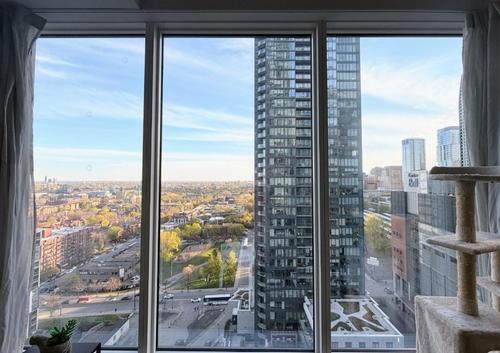 Appartement de 1 chambre à louer à Longueuil — photo 8