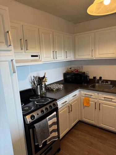 1 bedroom apartment for rent in Gatineau — photo 14