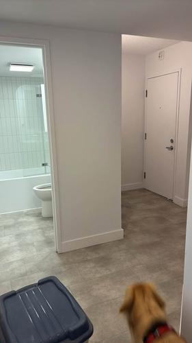 Appartement de 2 chambres à louer à Québec - Sainte-Foy–Sillery–Cap-Rouge — photo 10