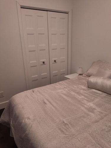 Appartement de 4 chambres à louer à Montreal - Le Plateau-Mont-Royal — photo 9