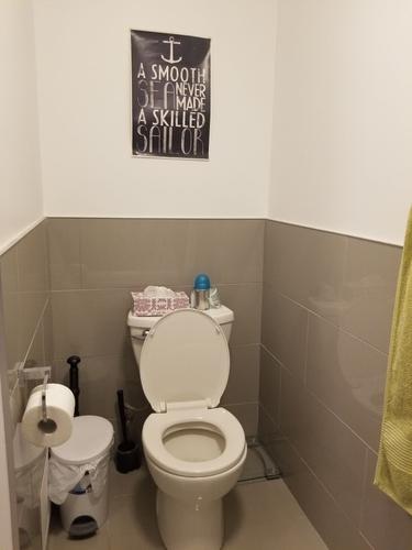 1 bedroom apartment for rent in Montreal - Rosemont–La Petite-Patrie — photo 10