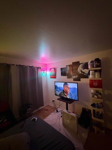 Appartement de 1 chambre à louer à Longueuil — photo 2