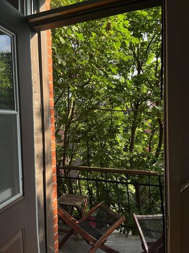 Appartement de 2 chambres à louer à Montreal - Le Plateau-Mont-Royal — photo 11