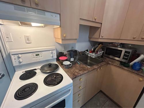 1 bedroom apartment for rent in Montreal - Le Plateau-Mont-Royal — photo 2