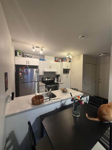 Appartement de 1 chambre à louer à Montreal - Ville-Marie — photo 4
