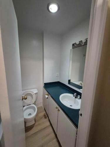 1 bedroom apartment for rent in Gatineau — photo 2