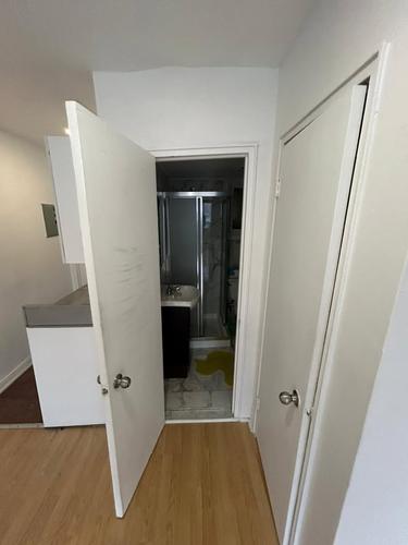 1 bedroom apartment for rent in Montreal - Le Plateau-Mont-Royal — photo 6