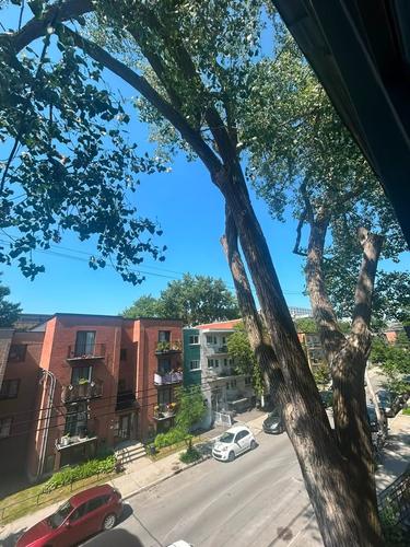 1 bedroom apartment for rent in Montreal - Le Plateau-Mont-Royal — photo 14