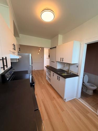 1 bedroom apartment for rent in Montreal - Rosemont–La Petite-Patrie — photo 4