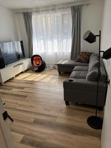 Appartement de 2 chambres à louer à Québec - Sainte-Foy–Sillery–Cap-Rouge — photo 3