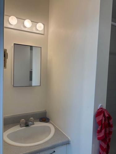 1 bedroom apartment for rent in Montreal - Le Plateau-Mont-Royal — photo 8