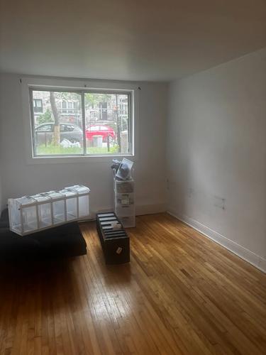 Appartement de 2 chambres à louer à Montreal - Rosemont–La Petite-Patrie — photo 13