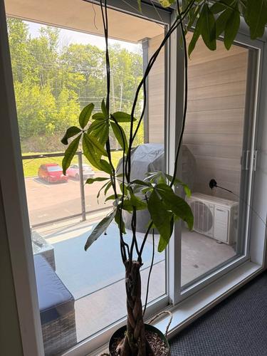Appartement de 3 chambres à louer à Lévis — photo 27
