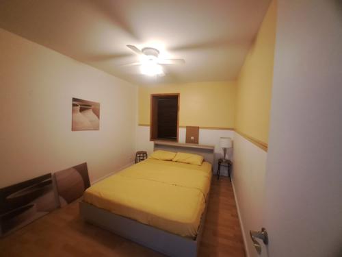 Appartement de 1 chambre à louer à Lévis — photo 6