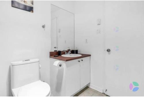1 bedroom apartment for rent in Montreal - Rosemont–La Petite-Patrie — photo 10