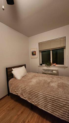 Appartement de 1 chambre à louer à Montreal - Ville-Marie — photo 4