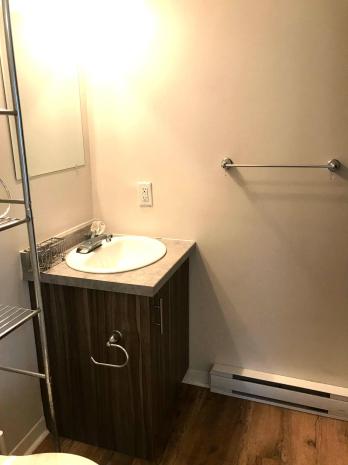 Appartement de 1 chambre à louer à Gatineau — photo 5