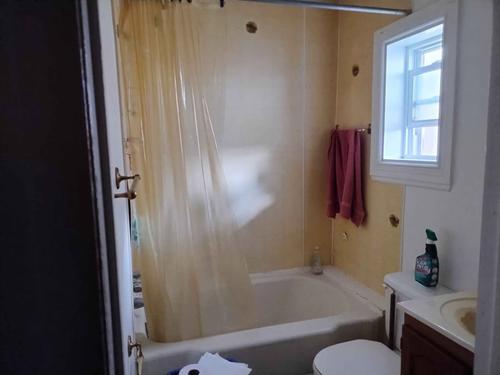 1 bedroom apartment for rent in Gatineau — photo 6