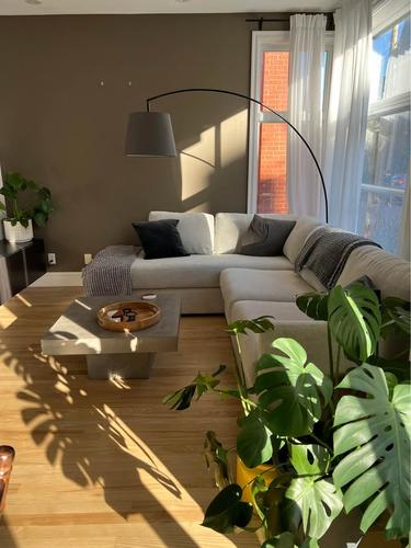Appartement de 1 chambre à louer à Montreal - Le Plateau-Mont-Royal — photo 2