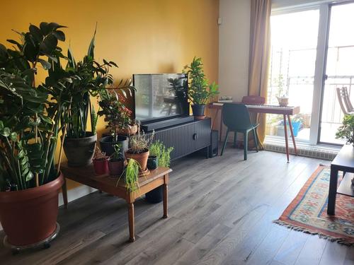 3 bedrooms apartment for rent in Québec - La Cité-Limoilou — photo 5