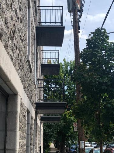 Appartement de 1 chambre à louer à Montreal - Rosemont–La Petite-Patrie — photo 2