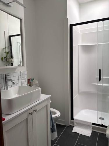1 bedroom apartment for rent in Montreal - Rosemont–La Petite-Patrie — photo 10