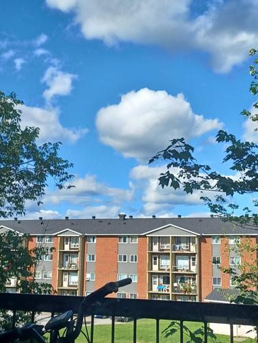 Appartement de 1 chambre à louer à Sherbrooke — photo 10