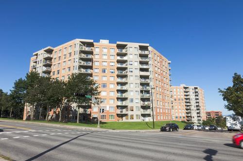 2 bedrooms apartment for rent in Québec - Sainte-Foy–Sillery–Cap-Rouge — photo 4