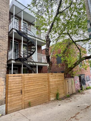 Appartement de 4 chambres à louer à Montreal - Le Plateau-Mont-Royal — photo 2