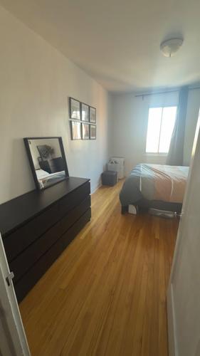 Appartement de 1 chambre à louer à Montreal - Le Plateau-Mont-Royal — photo 9