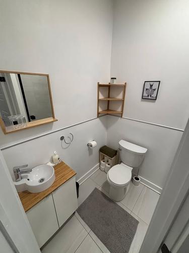 Appartement de 2 chambres à louer à Montreal - Le Plateau-Mont-Royal — photo 23
