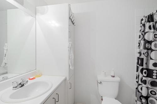 1 bedroom apartment for rent in Québec - Sainte-Foy–Sillery–Cap-Rouge — photo 5