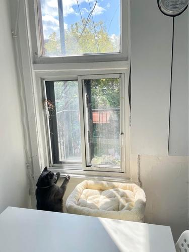 Appartement de 1 chambre à louer à Montreal - Le Plateau-Mont-Royal — photo 6