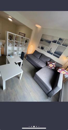 1 bedroom apartment for rent in Montreal - Rosemont–La Petite-Patrie — photo 7