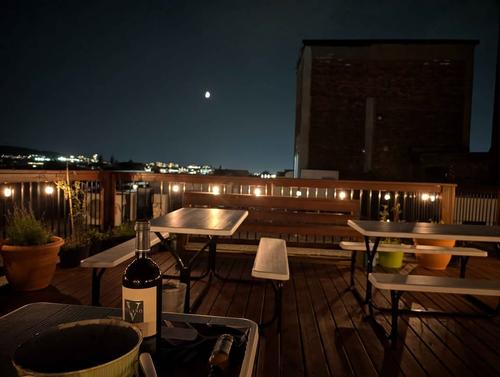 1 bedroom apartment for rent in Montreal - Rosemont–La Petite-Patrie — photo 10