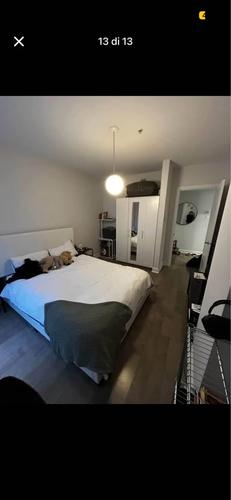Appartement de 2 chambres à louer à Montreal - Le Plateau-Mont-Royal — photo 10