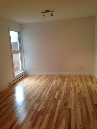 Studio à louer à Québec - La Cité-Limoilou — photo 2