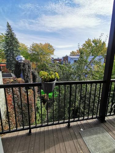 1 bedroom apartment for rent in Montreal - Le Plateau-Mont-Royal — photo 9