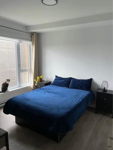 Appartement de 1 chambre à louer à Québec - Les Rivières — photo 5