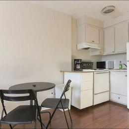 1 bedroom apartment for rent in Montreal - Rosemont–La Petite-Patrie — photo 3