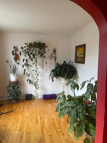 Appartement de 3 chambres à louer à Longueuil — photo 12