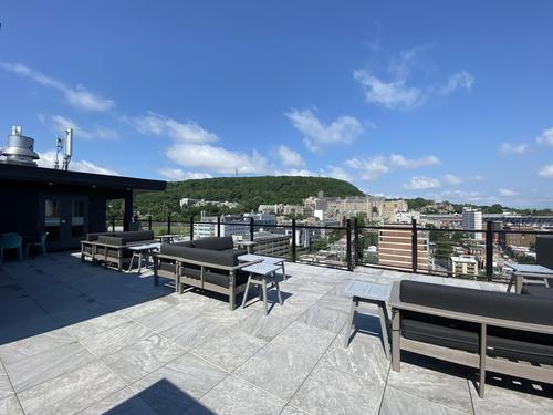 1 bedroom apartment for rent in Montreal - Le Plateau-Mont-Royal — photo 5