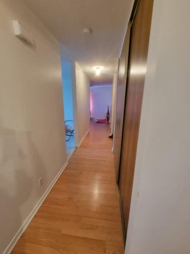 2 bedrooms apartment for rent in Gatineau — photo 13