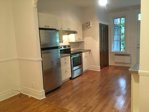 Appartement de 1 chambre à louer à Montreal - Le Plateau-Mont-Royal — photo 3