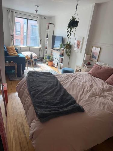 1 bedroom apartment for rent in Montreal - Ville-Marie — photo 8