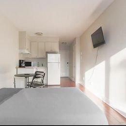 1 bedroom apartment for rent in Montreal - Rosemont–La Petite-Patrie — photo 5