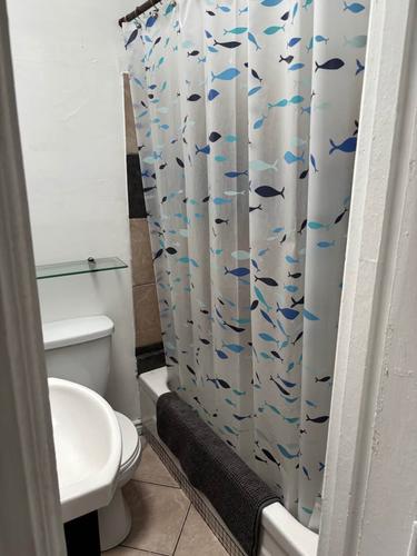 1 bedroom apartment for rent in Montreal - Le Plateau-Mont-Royal — photo 6