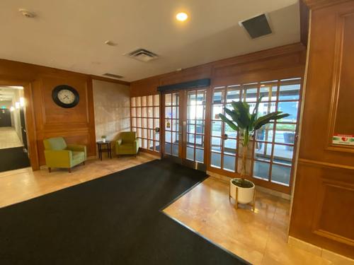 1 bedroom apartment for rent in - — photo 13