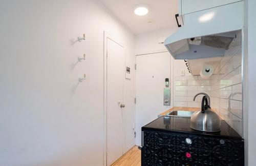Studio for rent in Montreal - Le Plateau-Mont-Royal — photo 2