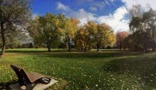 Studio for rent in Montreal - Rosemont–La Petite-Patrie — photo 45